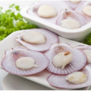Frozen Half Shell Pink Scallop