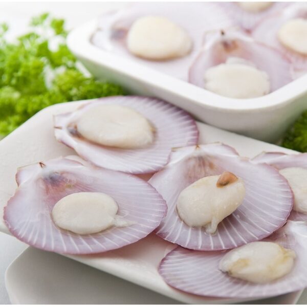 Frozen Half Shell Pink Scallop