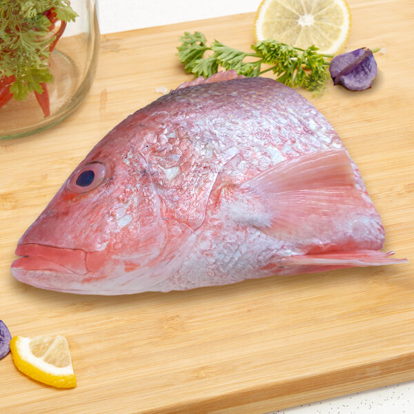 Frozen Red Fish Head - Image 3