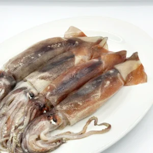 Fresh Brown Squid