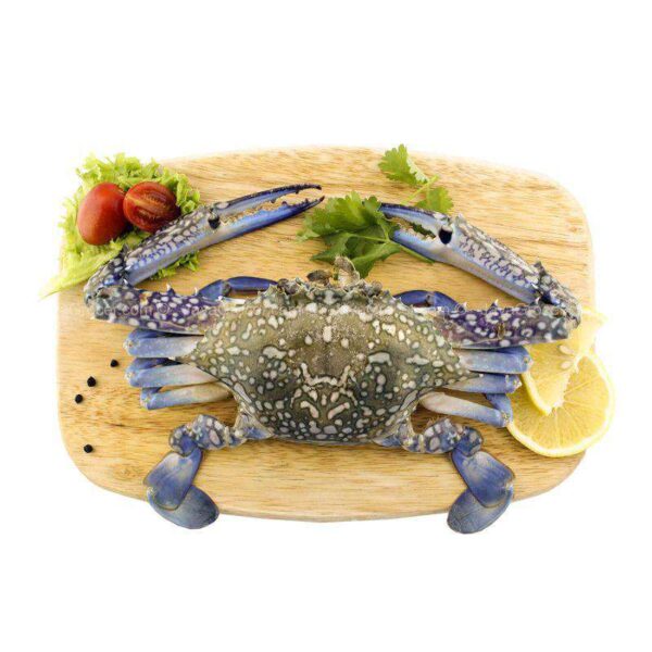 Frozen Flower Crab - Image 5
