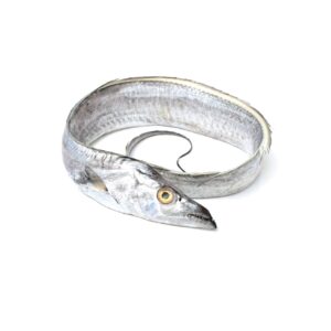 Frozen Belt Fish | Frozen Ribbon Fish