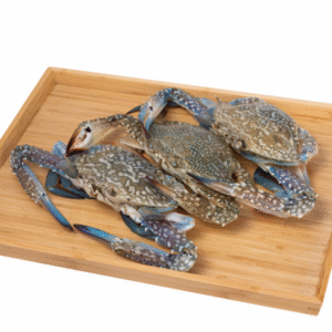 Fresh Flower Crab
