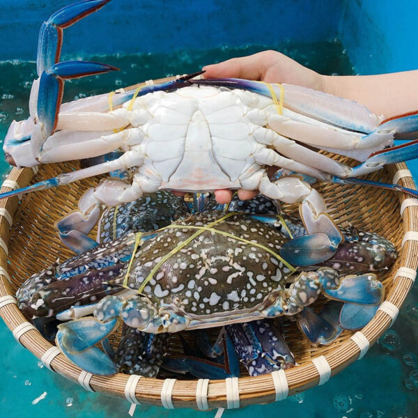 Fresh Flower Crab - Image 3
