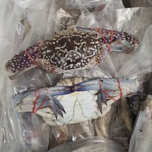 Frozen Flower Crab
