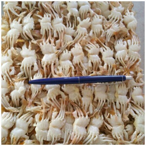 Frozen Baby Crab - Image 2