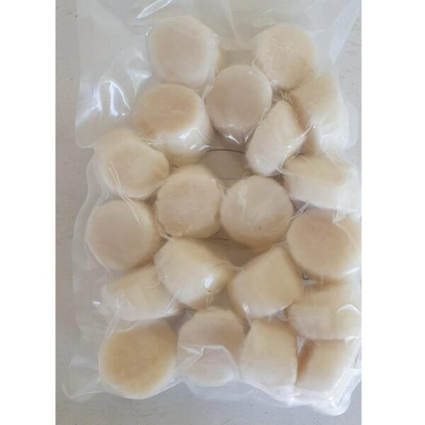 Frozen Scallop Meat - Image 2