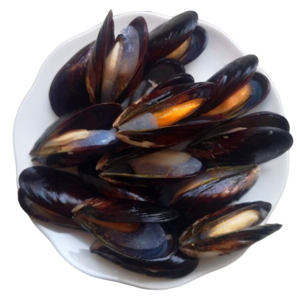 Frozen Blue Mussel - Image 3