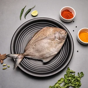 Fresh Black Pomfret
