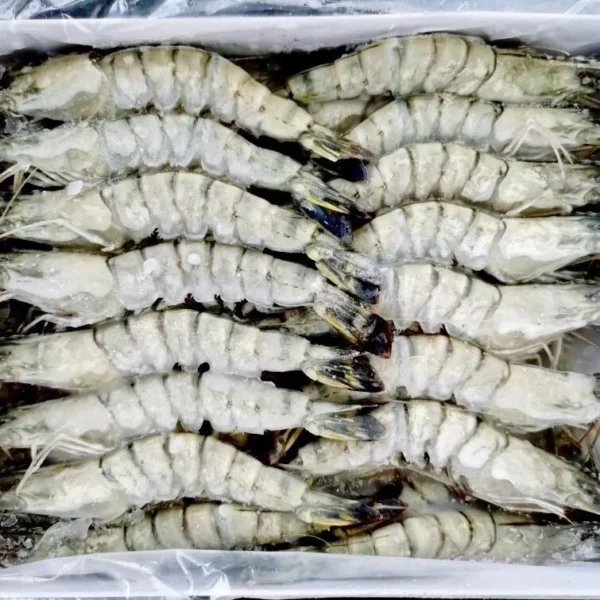 Frozen Tiger Prawn | Black Tiger Prawn - Image 5