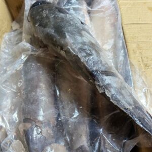 Frozen Catfish