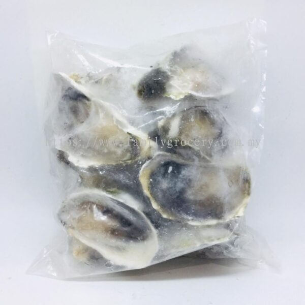 Frozen Half Shell Oysters - Image 2