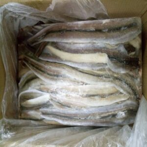 Frozen Eel Fish Fillet