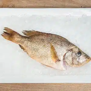 Frozen Golden Snapper Fish