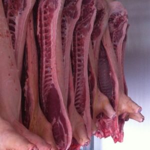 Frozen Pork Half Carcass