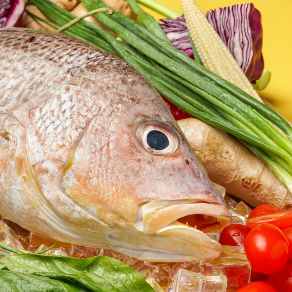 Fresh Golden Snapper Fish - Image 6