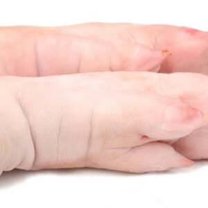 Frozen Pork feet front and hind
