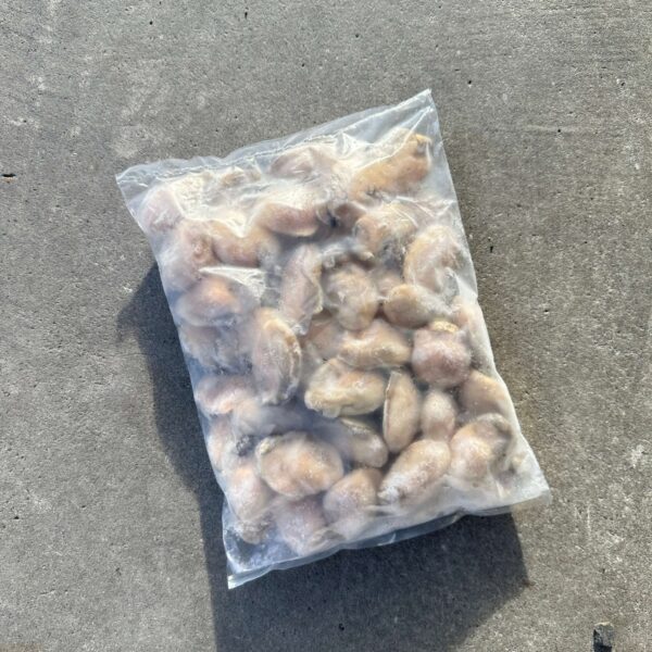 Frozen Oyster Meat - Image 4