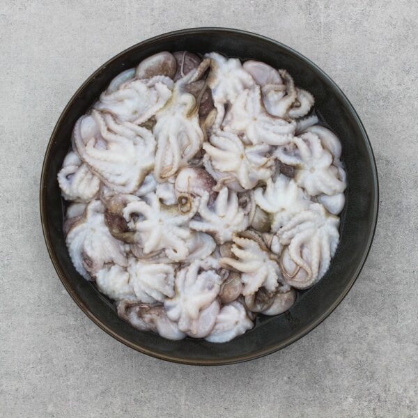 Fresh Octopus | Fresh Baby Octopus - Image 2
