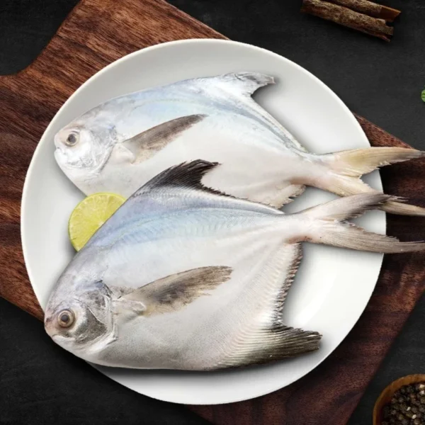 Fresh White Pomfret - Image 5