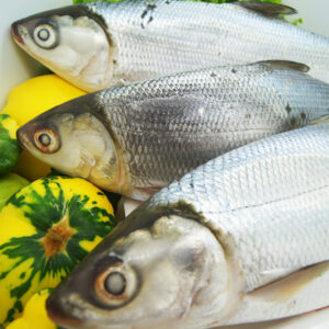 Fresh Milk Fish