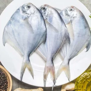 Fresh Chinese Pomfret