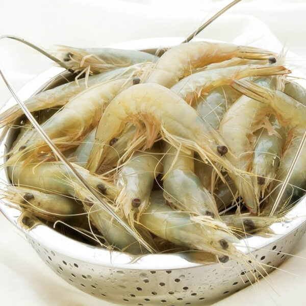 Frozen Sea White Prawn - Image 5