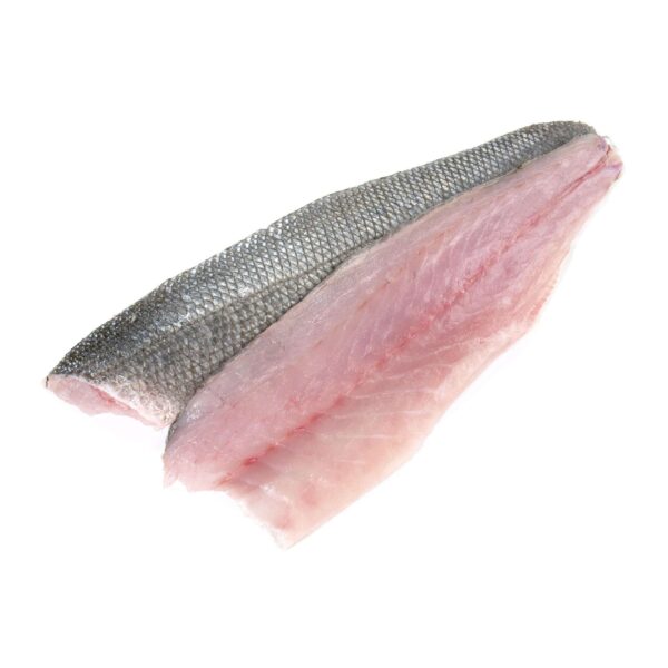 Frozen Seabass Fillet - Image 4