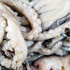 Frozen Octopus U5