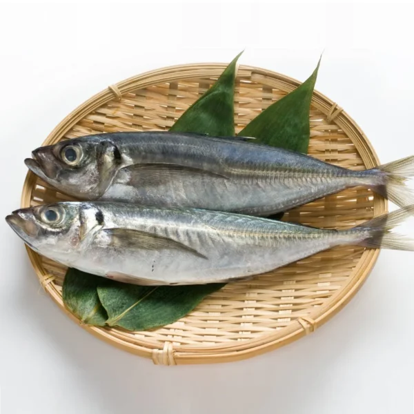 Fresh Horse Mackerel | Sardine - Image 2