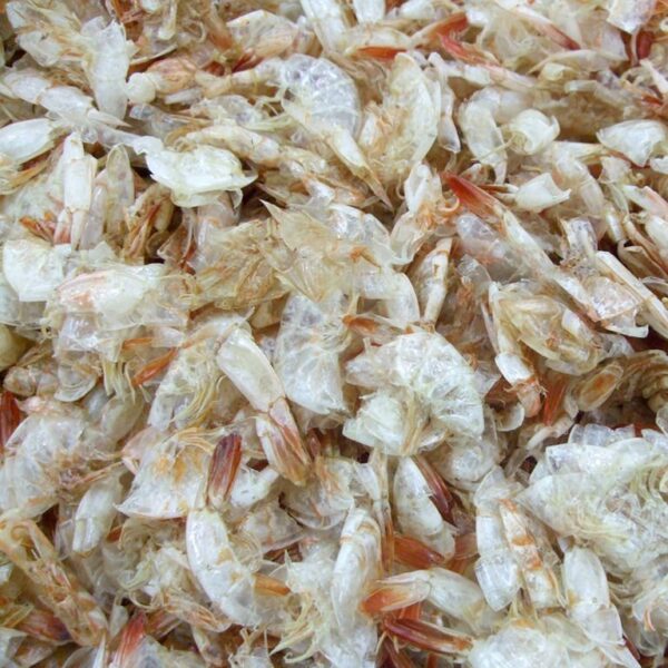 Frozen Prawn Shell (Head & Shell) - Image 3