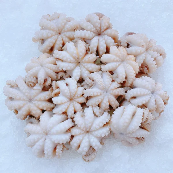 Frozen Octopus | Frozen Baby Octopus - Image 2