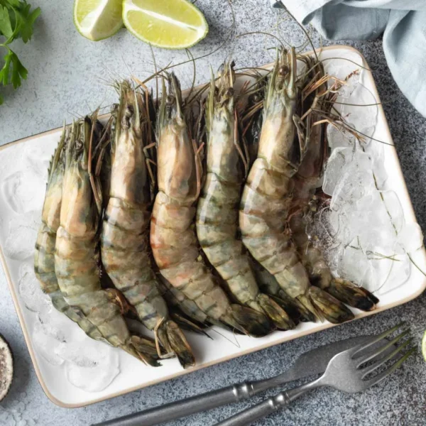 Fresh Tiger Prawn - Image 4