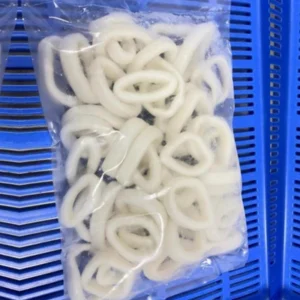 Frozen Squid Ring