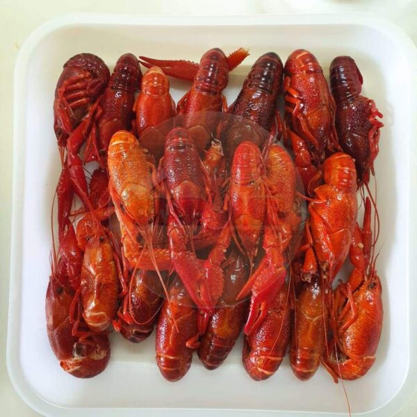 Frozen Baby Lobster - Image 2