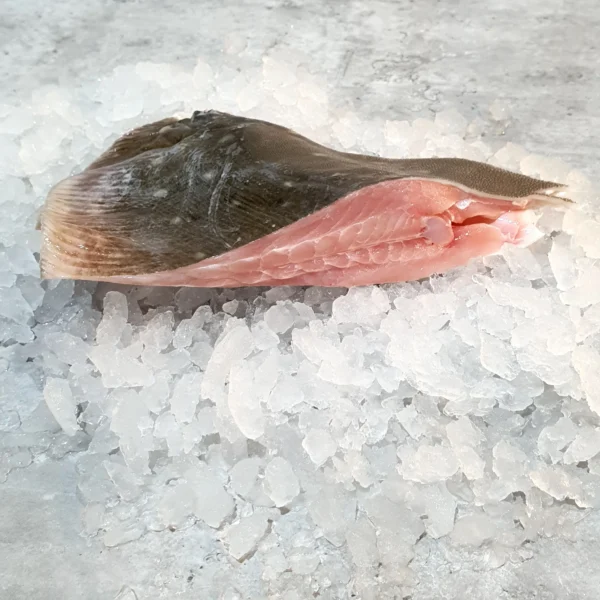 Fresh Stingray Cut - Image 3