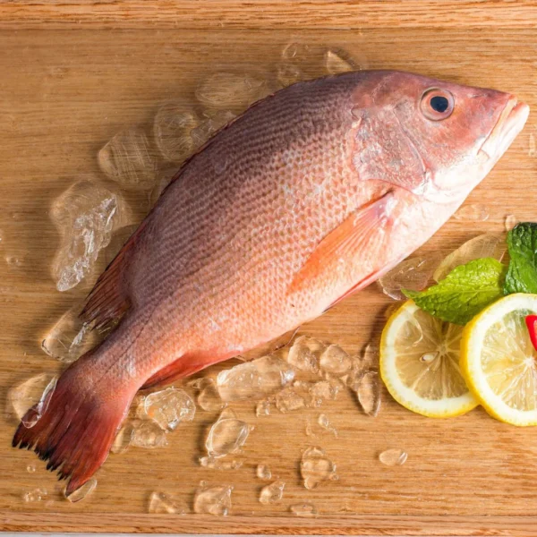 Fresh Red Snapper Fish - Image 2