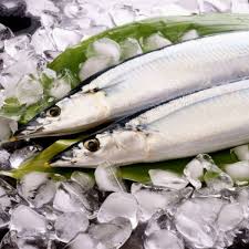 Frozen Sanma Fish