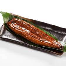 Fresh Eel Fish Fillet