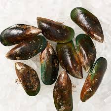 Frozen New Zealand Green Mussel