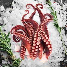 Frozen Squid Tentacles