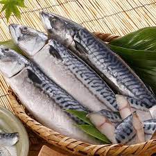 Frozen Saba Mackerel Fish (Norway)