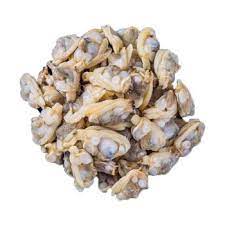 Frozen Clam Meat (IQF)