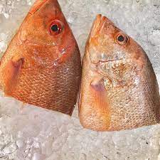 Frozen Red Fish Head