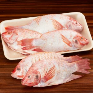 Fresh Tilapia Fish | Talapia Fish