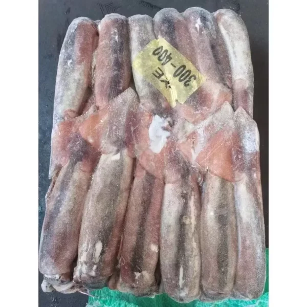 Frozen Squid Illex - Image 3