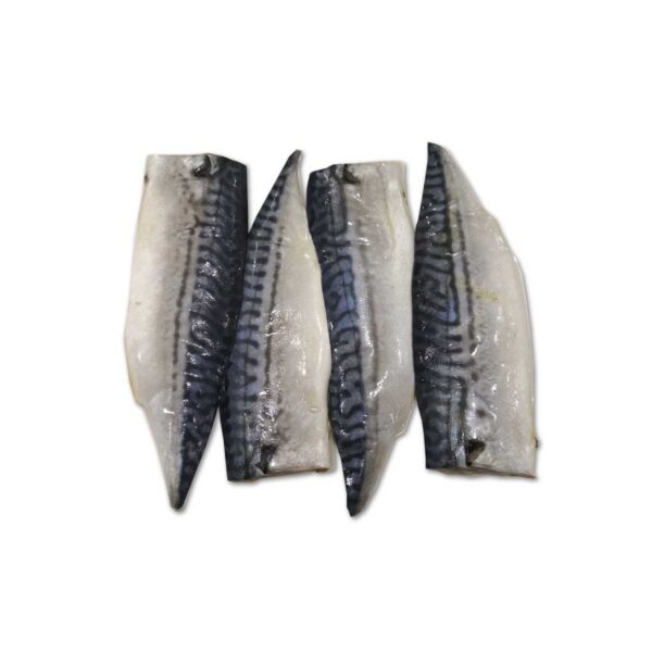 Frozen Saba Mackerel Fillet (Norway) - Image 2