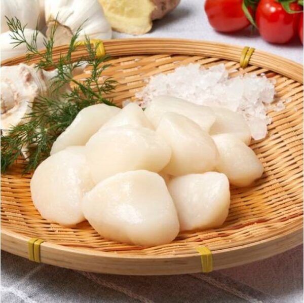 Frozen Scallop Meat - Image 3