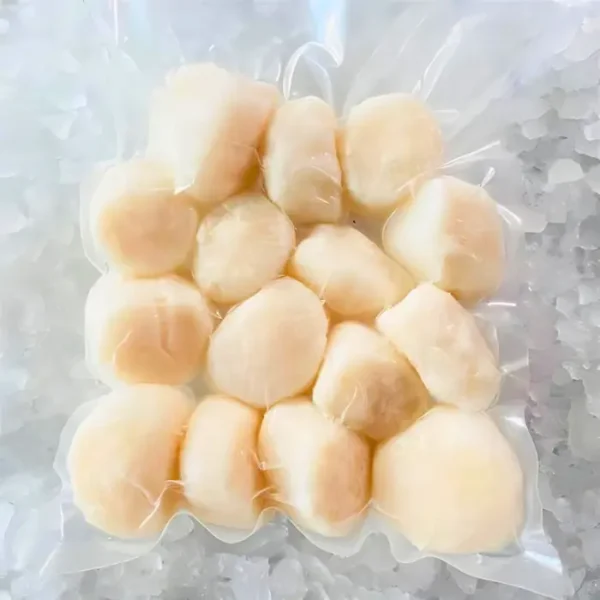 Frozen Scallop Meat - Image 4