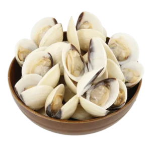 Frozen White Clam | Kapah